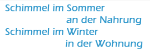 Schimmel im Sommer an der Nahrung. Schimmel im Winter in der Wohnung.